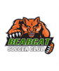 Bearcat Soccer Club