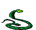 Vipers