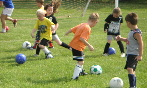 SUMMER RECREATIONAL CAMP SERIES