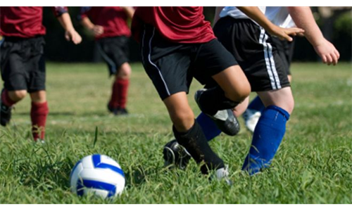 Register Now for Fall 2013
