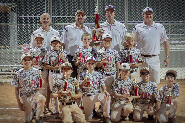 Sandy Springs Youth Sports > Baseball > Summer Tournament Teams > 2014