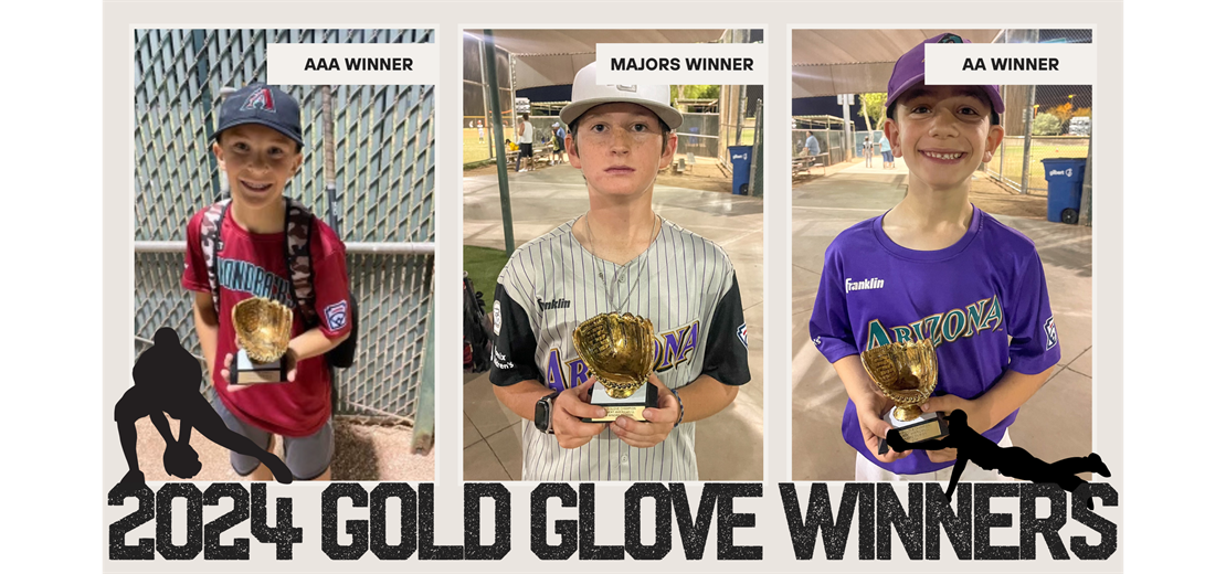 2024 Gold Glove Winners!