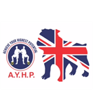 Achieve Your Highest Potential