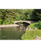 Moravia Summer Recreation Program