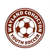 Wayland Cohocton Youth Soccer