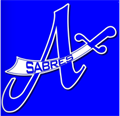 Academy Sabres Sports Association