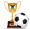 Deming Youth Soccer League