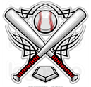 Barrier Islands Baseball Academy (BIBA)