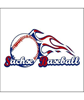 Sachse Baseball Association