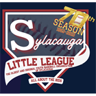 Little Big League: Sylacauga Little League Baseball team heads to