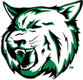 Houghton Lake Youth Football