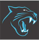 PANTHERS YOUTH FOOTBALL