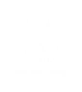 Play For A Stray