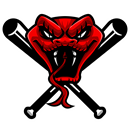 Danger Noodles Baseball Foundation