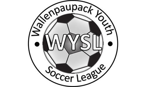 Wallenpaupack Youth Soccer 