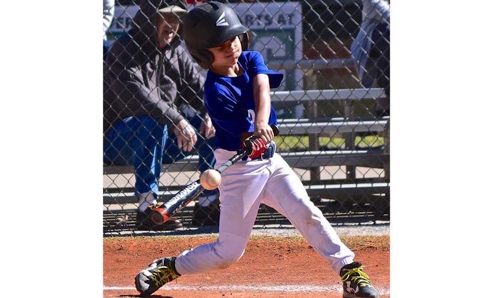 Sandy Springs Baseball 