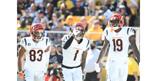 BENGALS