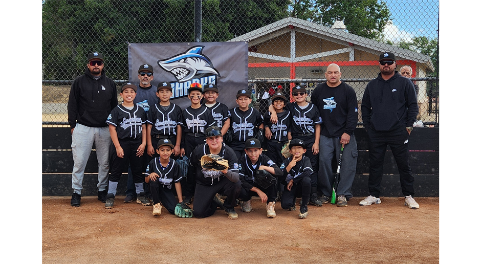 2025 Minor Sharks