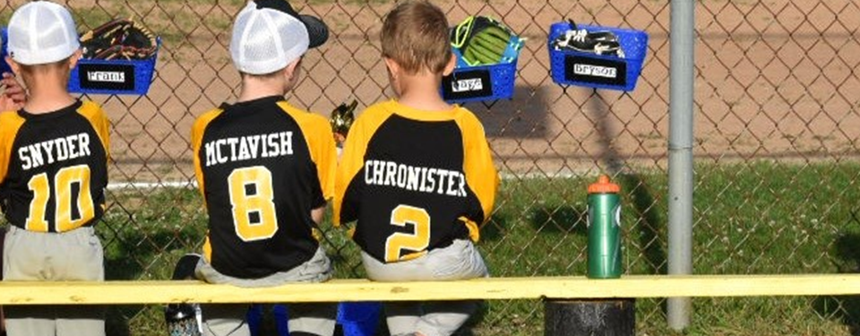 Lower Chanceford Little League