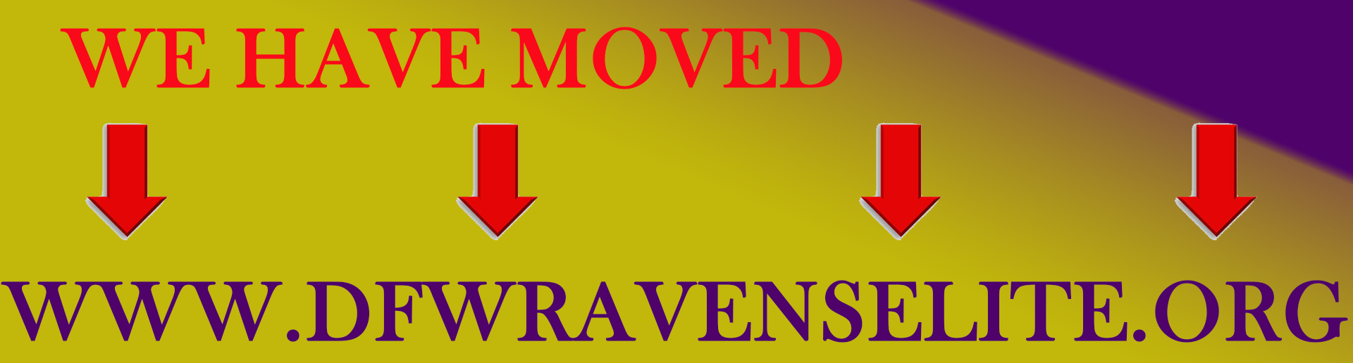 OUR NEW RAVEN WEBSITE