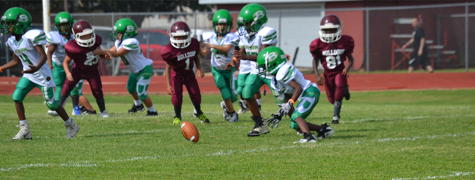 Washington County Youth Football