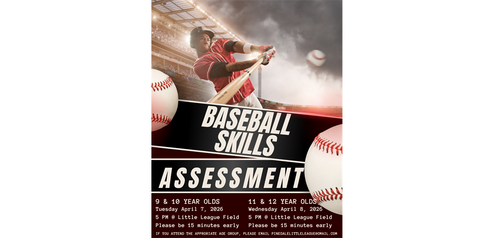 Majors Skills Assessment