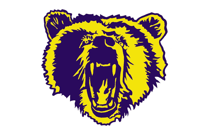 Bear Pride