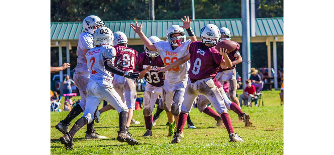 Future Wildcats