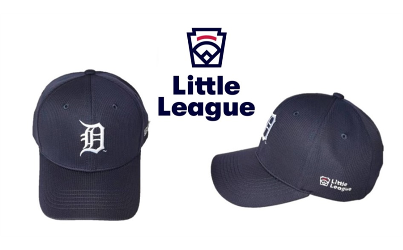 Detroit Tigers Little League Day