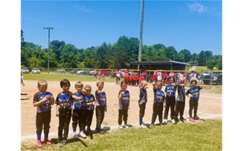 2025 Competitive T-ball Winners