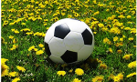 Fall 2025 registration is OPEN!