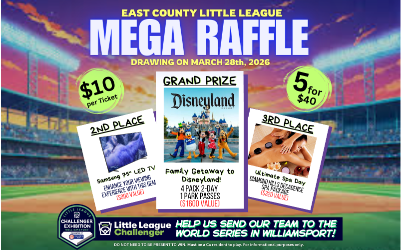 2026 Mega Raffle