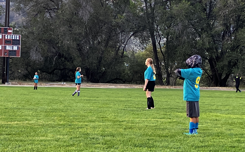 Bug soccer