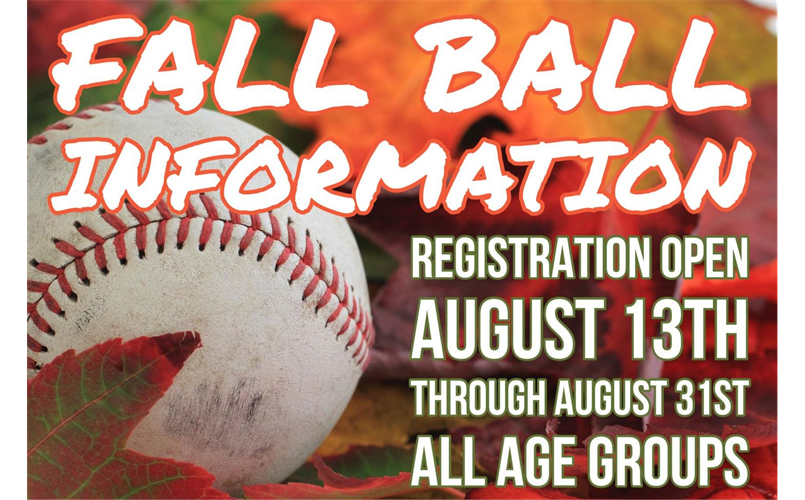 Youth Baseball Info