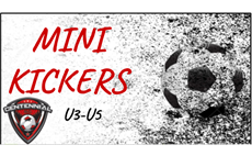 Mini Kickers Program