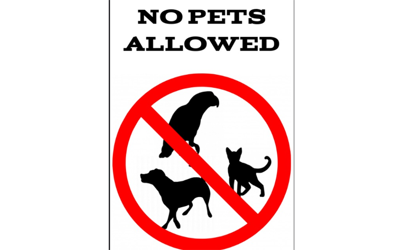 No Pets During Games Please!!