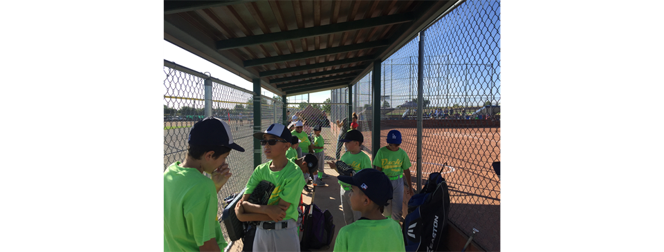 Colorado Ducks 13 & 12u 