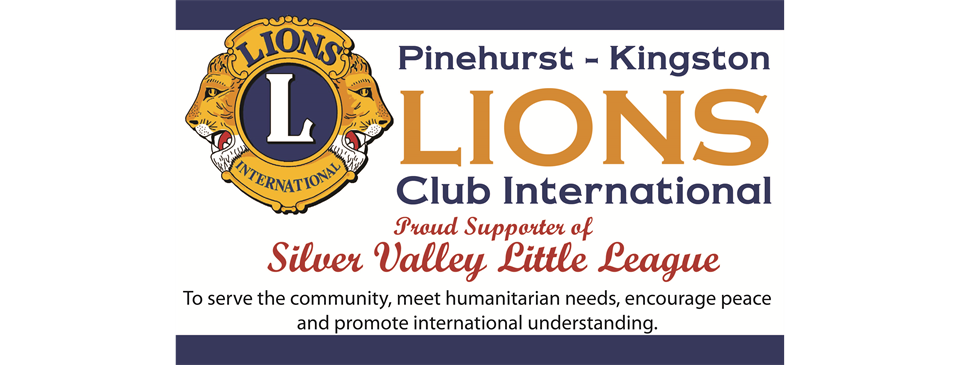 Diamond Sponsor - PK Lions 