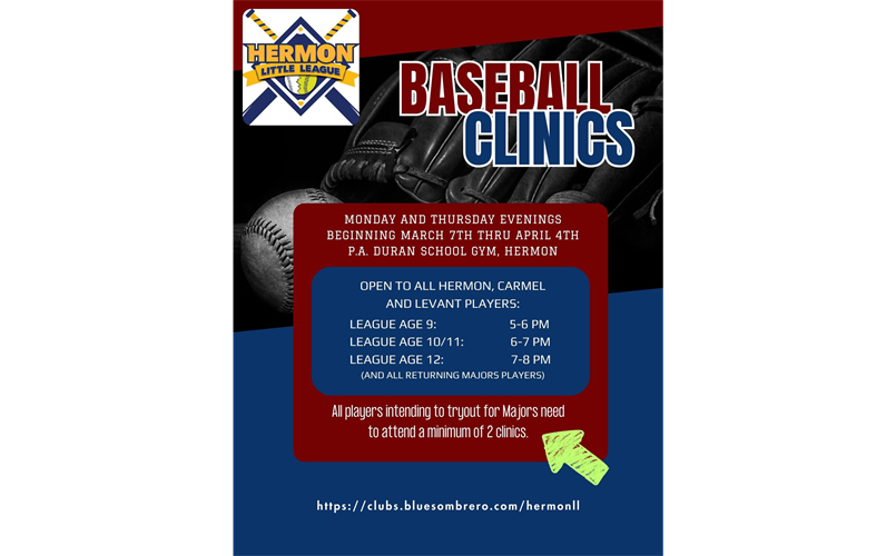 Baseball Clinics