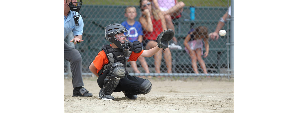 Elmhurst Youth Baseball and Softball