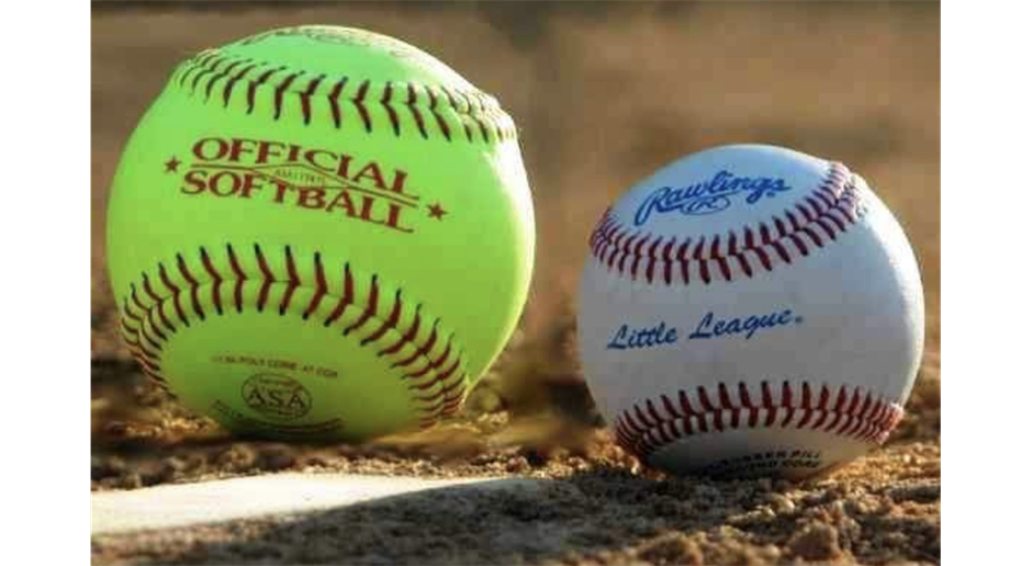 Baseball & Softball Divisions