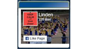 Cathedral City Lions Youth Football and Cheer : Powered by TeamLinkt