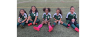 Fall Registration Now Open!