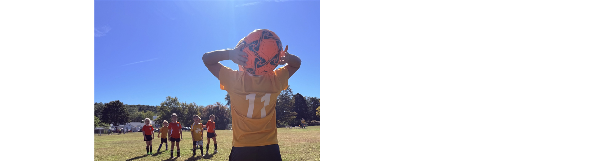 Throw in