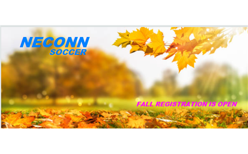FALL REC SOCCER