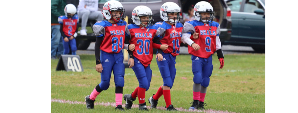 Welcome to Selinsgrove Area Youth Football League!