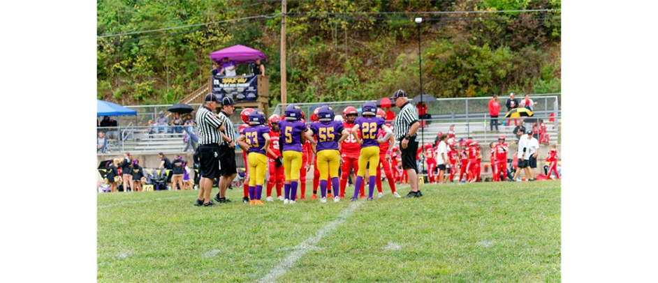 Stallions