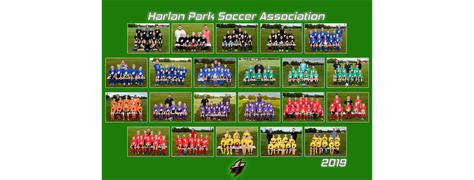 2019 teams