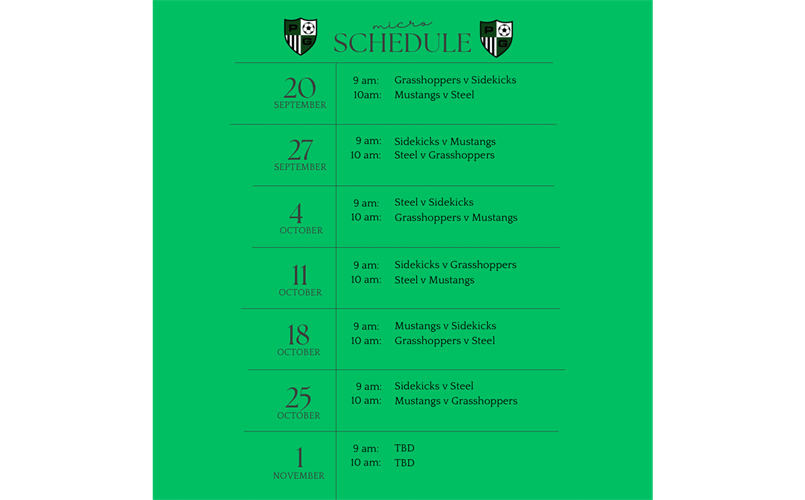 Fall 2025 Micro Schedule