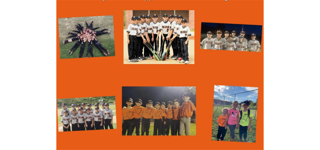 Bullskin Township Little League Home